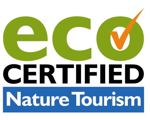 Aquascene Fish Feeding Sanctuary - C Tourism 4