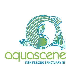 Aquascene Fish Feeding Sanctuary - C Tourism 5
