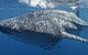 Three Islands Whale Shark Dive - thumb 7