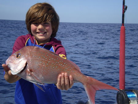 Mills Charters Fishing And Whale Watch Cruises - C Tourism 4