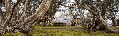 High Country Scenic Tours - C Tourism 0