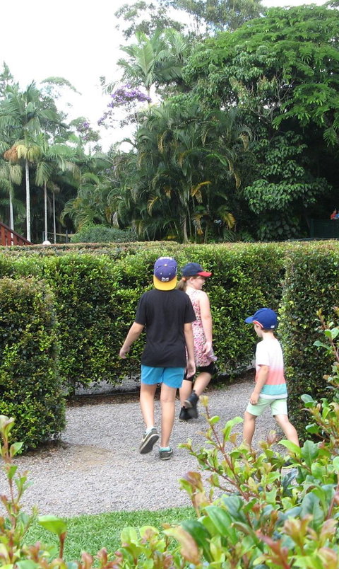Bellingham Maze - C Tourism 2