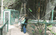 Bellingham Maze - thumb 7