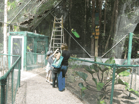 Bellingham Maze - C Tourism 7