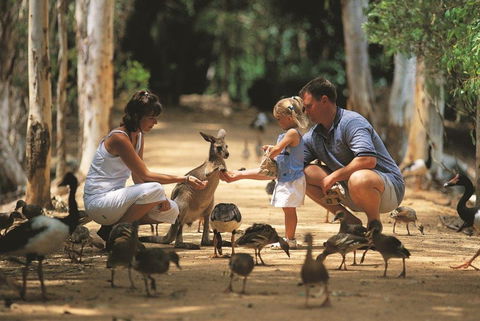 Billabong Sanctuary - C Tourism 0