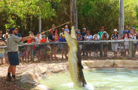 Billabong Sanctuary - C Tourism 2