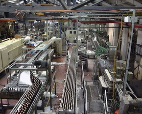Cascade Brewery Tour - C Tourism 2