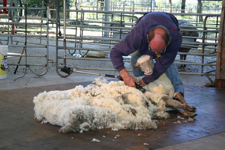 Caversham Wildlife Park - C Tourism 3