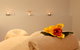 The Boardwalk Spa - thumb 1