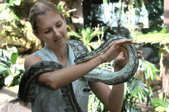 Cairns Wildlife Dome - C Tourism 2