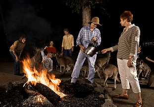 Cairns Night Zoo - C Tourism 0