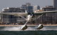 Melbourne Seaplanes - thumb 0