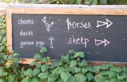 Collingwood Children's Farm - C Tourism 4