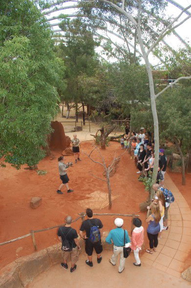 WILD LIFE Sydney Zoo - C Tourism 2
