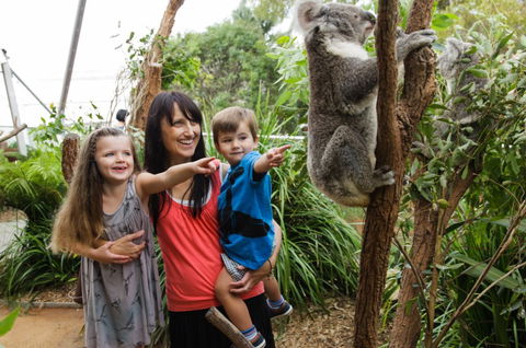 WILD LIFE Sydney Zoo - C Tourism 3