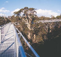 Walpole-Nornalup National Park - C Tourism