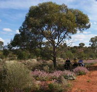 Karlkurla Bushland Park - C Tourism