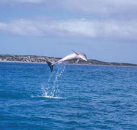Steep Point - C Tourism