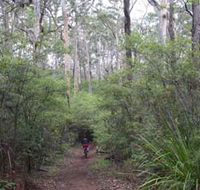 Margaret River Rails Trail - C Tourism