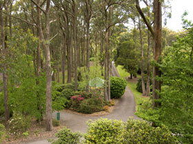 Mount Lofty Botanic Garden - C Tourism 0