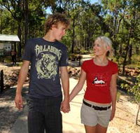 Crooked Brook Forest - C Tourism