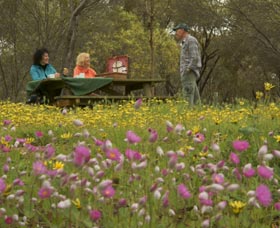 Gwambygine Park - C Tourism 0