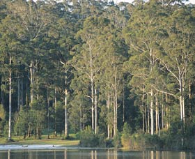 Big Brook Dam - C Tourism 0