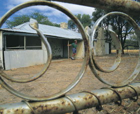 Youndegin - C Tourism 0