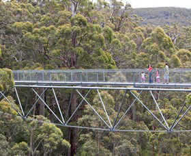 Walpole Wilderness Discovery Centre - C Tourism 0