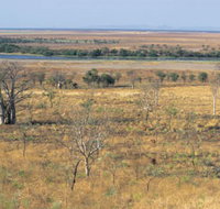 Telegraph Hill - C Tourism