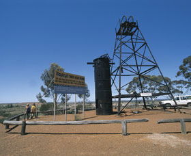 Bayleys Reward Fly Flat - C Tourism 0