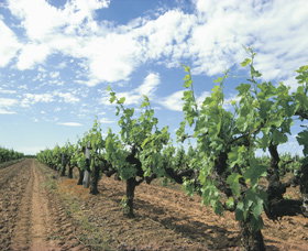 Scott River WA C Tourism