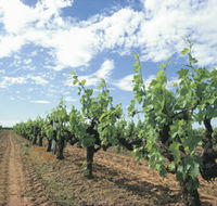 Blackwood Meadery - C Tourism