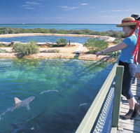 Shark Bay Marine Park - C Tourism