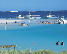 Bill's Bay - C Tourism 0