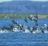 Ord River - C Tourism