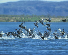 Ord River - C Tourism 0