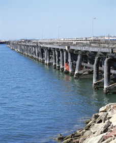 Old Timber Jetty - C Tourism 0