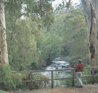 Cascades - C Tourism