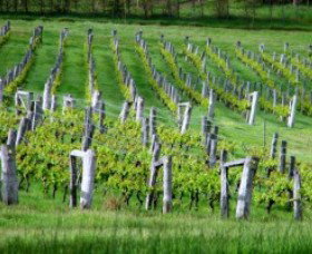 Sienna Estate Winery - C Tourism 0