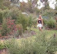 The Mythic Mazes - C Tourism