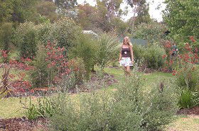 The Mythic Mazes - C Tourism 0