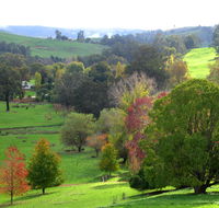 Golden Valley Tree Park - C Tourism