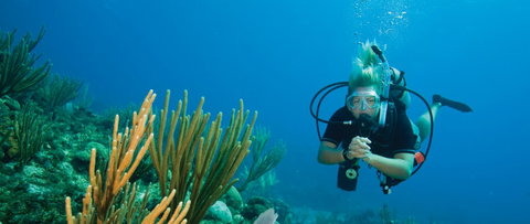 Coastal Water Dive - C Tourism 0
