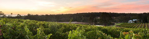 Aravina Estate - C Tourism 0