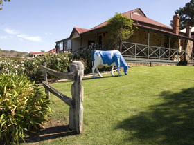 Longview Vineyard - C Tourism 0