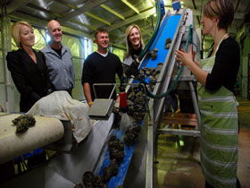 Eyre Peninsula's Seafood Trail - C Tourism 0
