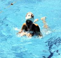 Mount Gambier Aquatic Centre - C Tourism