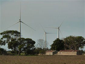 Wattle Point Wind Farm - C Tourism 0