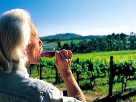 Ashton Hills Vineyard - C Tourism 0